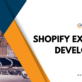 Shopify Experts Developers