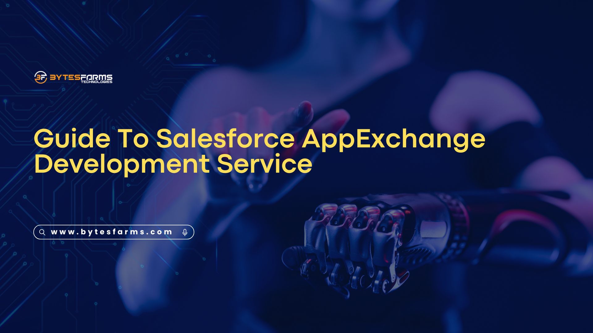 Guide To Salesforce AppExchange Development Service