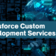 Salesforce Custom Development Services