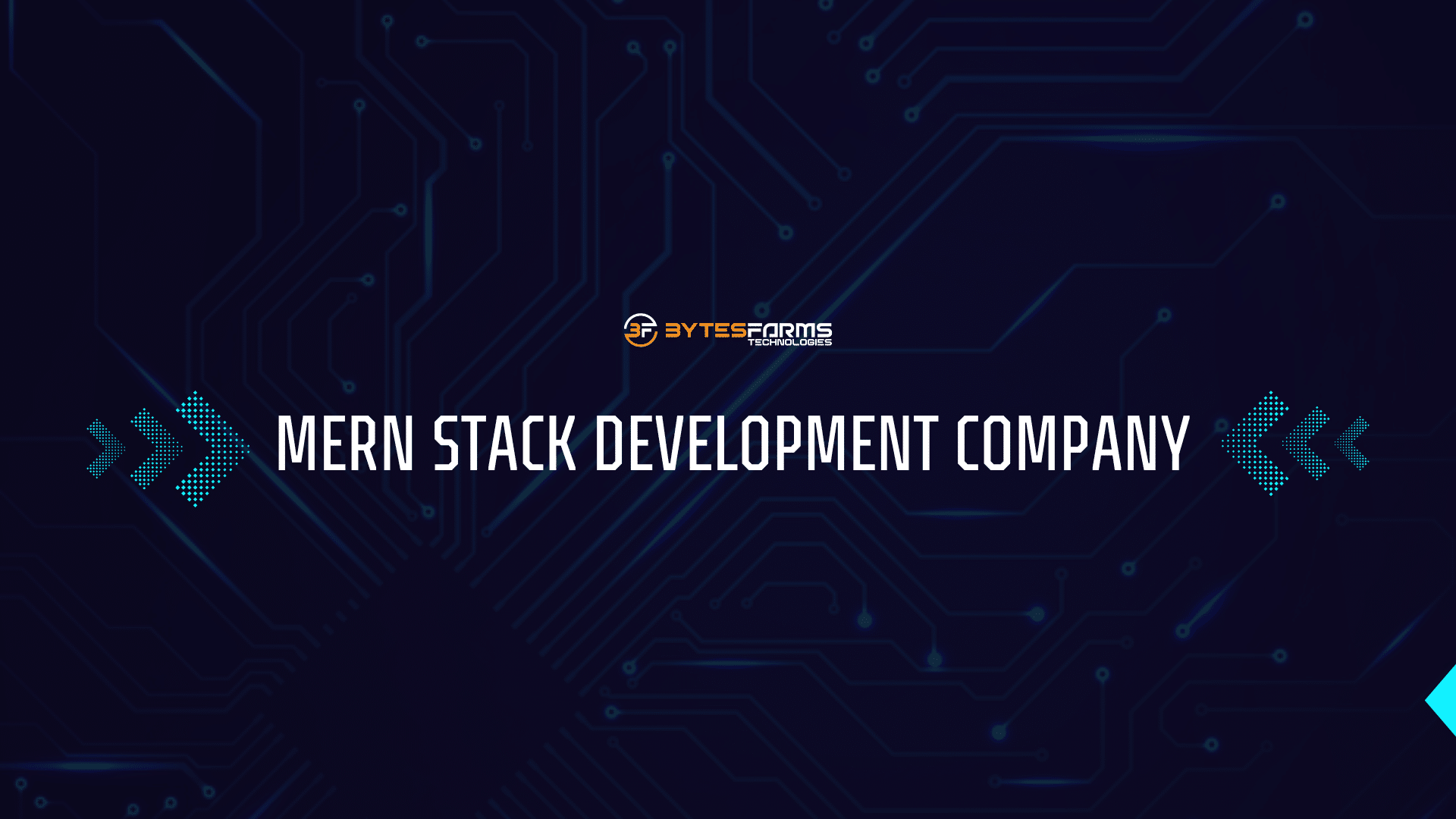 MERN Stack Development Company