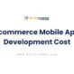 Ecommerce Mobile App Development Cost